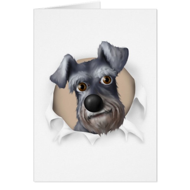 Schnauzer som ut slår sönder hälsningskort (Framsidan)