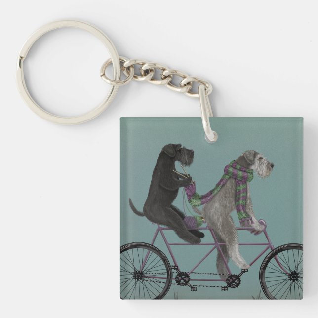 Schnauzer Tandem (Framsidan)