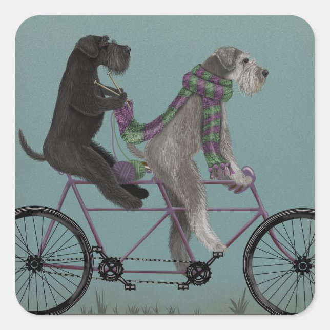 Schnauzer Tandem Fyrkantigt Klistermärke (Framsida)