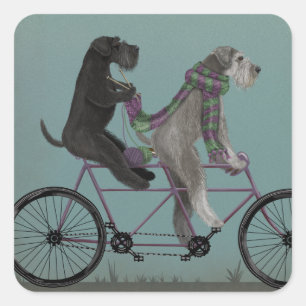 Schnauzer Tandem Fyrkantigt Klistermärke