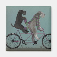 Schnauzer Tandem