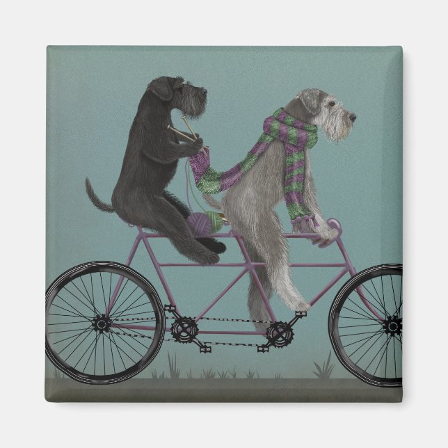 Schnauzer Tandem Magnet (Framsidan)