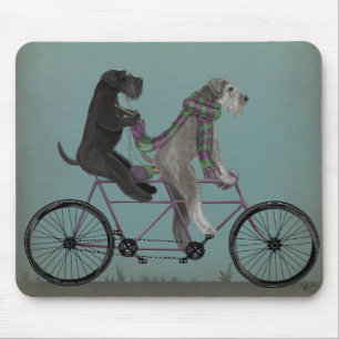 Schnauzer Tandem Musmatta
