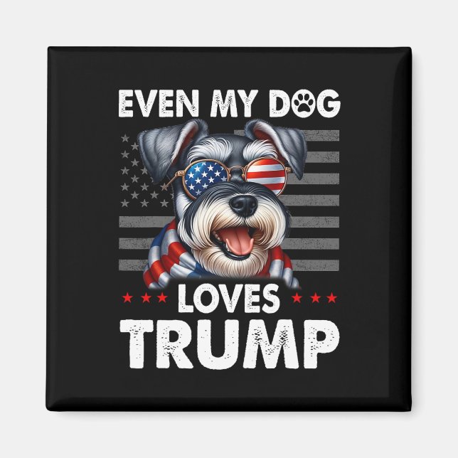Schnauzer till och med min Hund Trump Funny Magnet (Framsidan)