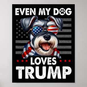 Schnauzer till och med min Hund Trump Funny Poster