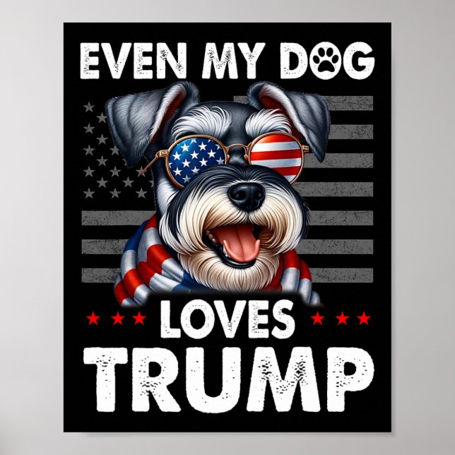 Schnauzer till och med min Hund Trump Funny Poster (Framsidan)