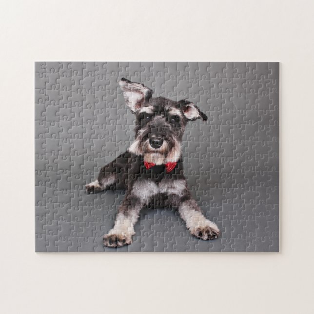 Schnauzer - Tom Dooley Pussel (Horisontell)