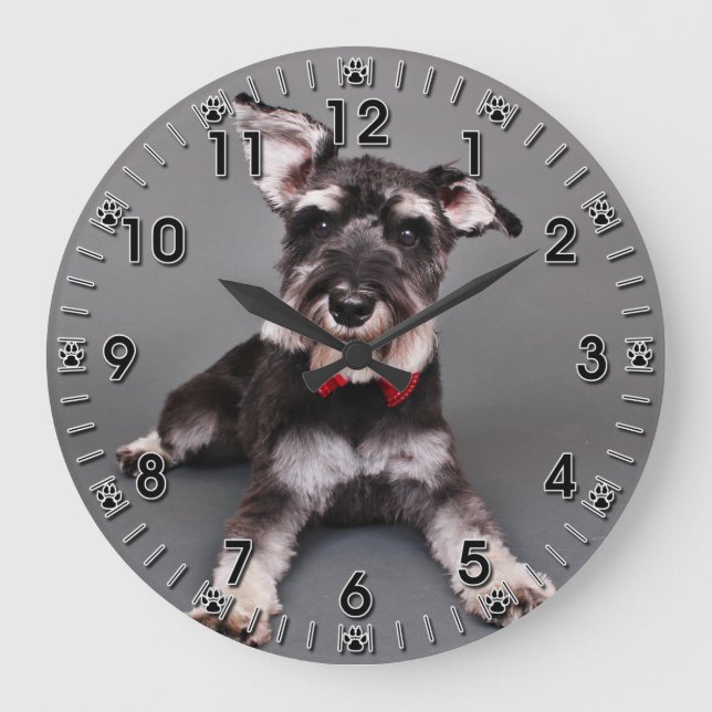 Schnauzer - Tom Dooley Stor Klocka (Framsida)
