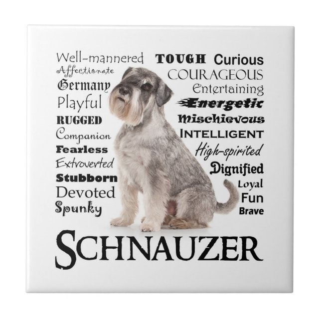 Schnauzer Traits Tile Kakelplatta (Framsidan)