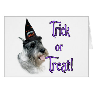 Schnauzer Trick Hälsningskort