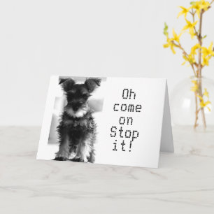 SCHNAUZER U SER FORTFARANDE "49" HUR KAN DU VARA " KORT