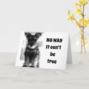 SCHNAUZER U SER FORTFARANDE 69 INTE "70!!!!!!" KOR KORT