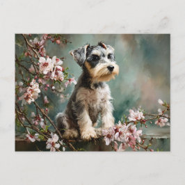 Schnauzer-valp bland vårens körsbärsblommor vykort