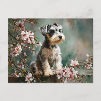 Schnauzer-valp bland vårens körsbärsblommor vykort