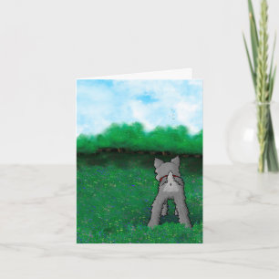 Schnauzer Valp Fluffybutt Kort