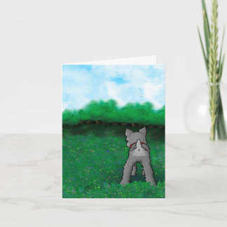 Schnauzer Valp Fluffybutt Kort