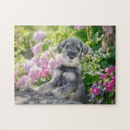 Schnauzer-valp i en blommar pussel