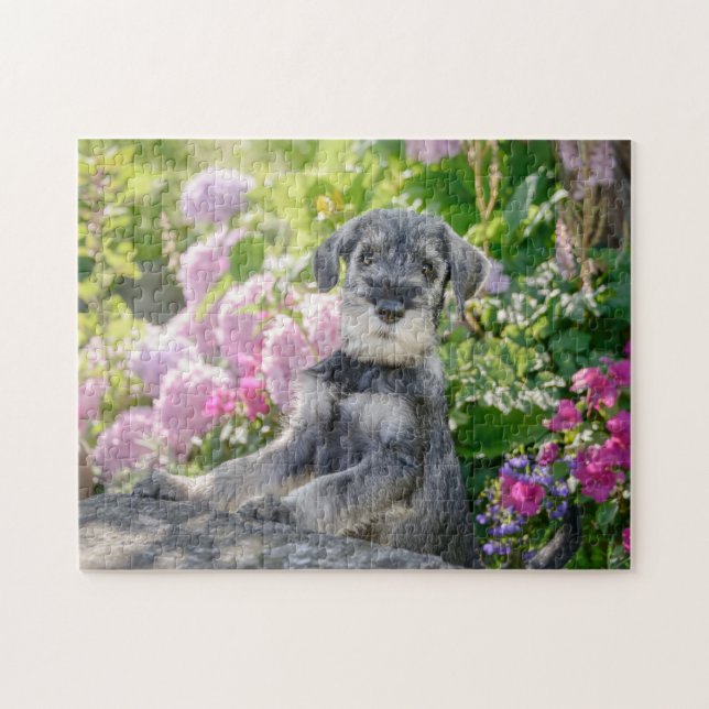 Schnauzer-valp i en blommar pussel (Horisontell)