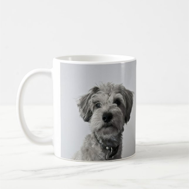 Schnauzer Valp Porträtt Foto Kaffemugg (Vänster)