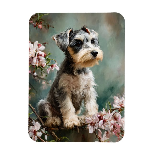 Schnauzer-valp Vår Blommande Körsbärsträd Flexibel Magnet (Vertikal)