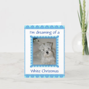 Schnauzer Vita julkort Helgkort