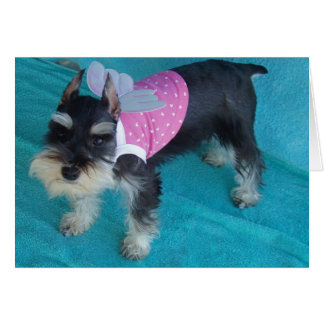 Schnauzerängelögon Hälsningskort