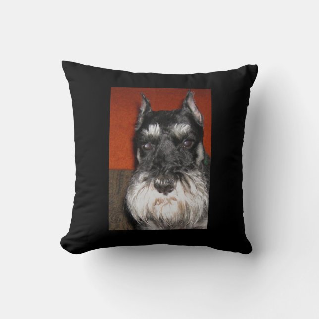 Schnauzerdekorativ kudde (Framsida)