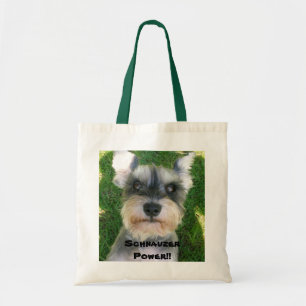 Schnauzeren driver!! tygkasse