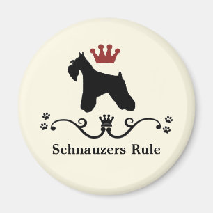 Schnauzeren härskar magneten magnet