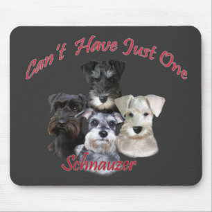 Schnauzeren kan inte ha precis en musmatta