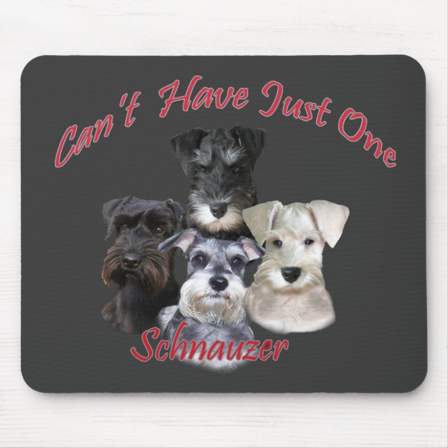 Schnauzeren kan inte ha precis en musmatta (Framsidan)