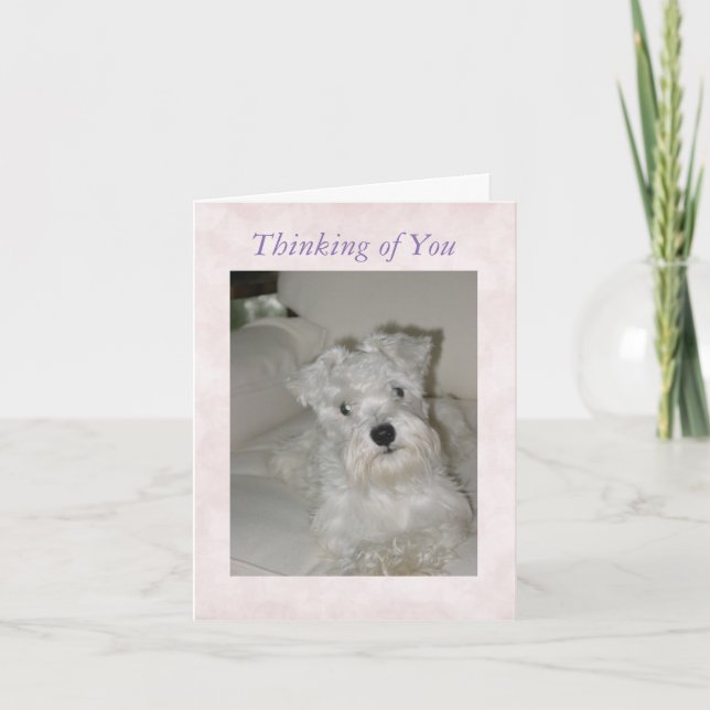 Schnauzerhälsningkort Kort (Framsida)