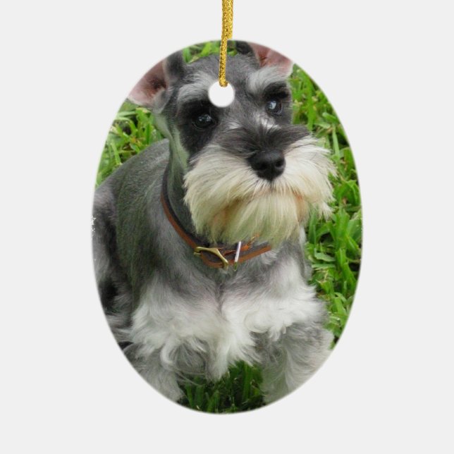 Schnauzerhundprydnad Julgransprydnad Keramik (Framsidan)