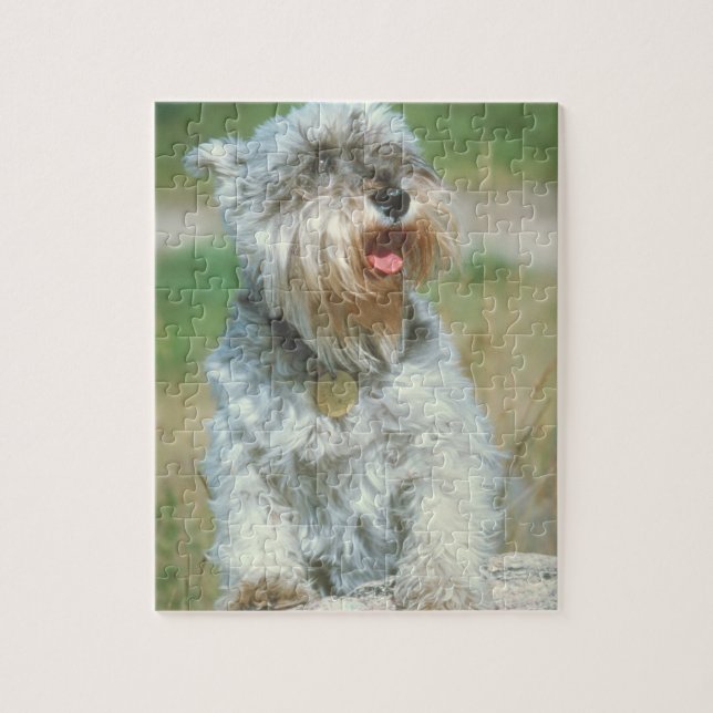 Schnauzerhundpussel Pussel (Vertikal)