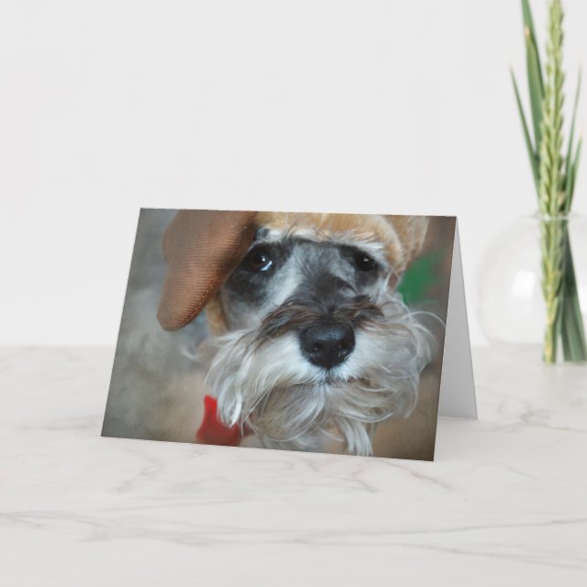 Schnauzerjul Helgkort (Framsida)