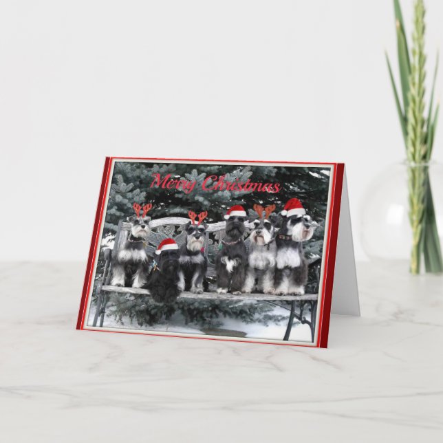 Schnauzerjulkort Helgkort (Framsida)