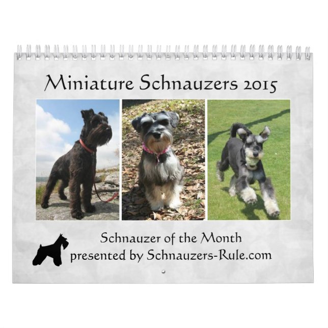 Schnauzerkalender 2016 kalender (Omslag)