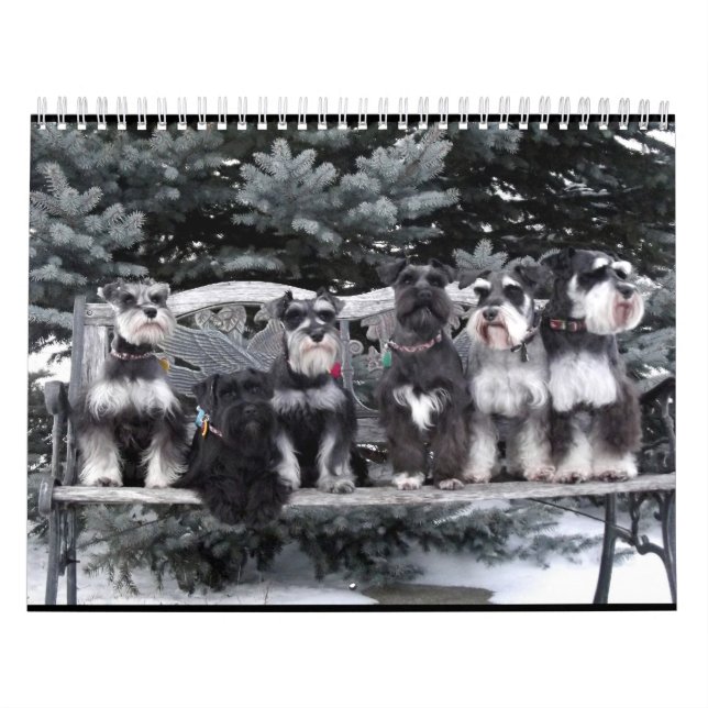 Schnauzerkalender 2018 kalender (Omslag)