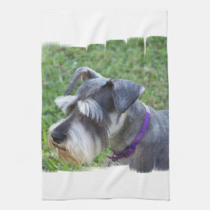 Schnauzerkökshandduk Kökshandduk