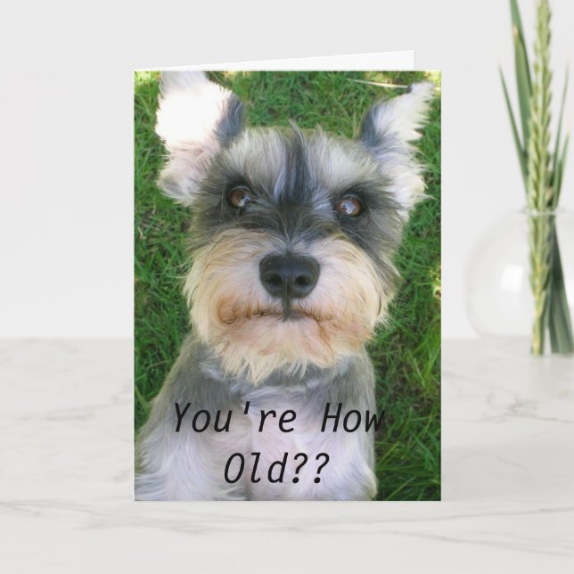 Schnauzerlycklig Bday Kort (Framsida)