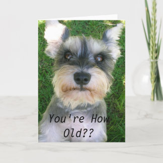 Schnauzerlycklig Bday Kort
