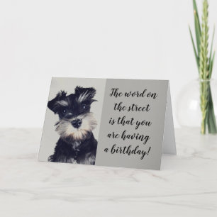 SCHNAUZERN KAN INTE TRO NYHETEN **50?** KORT