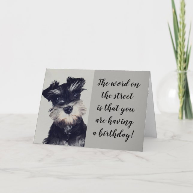 SCHNAUZERN KAN INTE TRO NYHETEN **50?** KORT (Framsida)