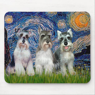 Schnauzers (3) - Starriafton Musmatta