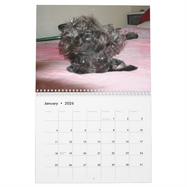 Schnauzers Kalender (Jan 2026)