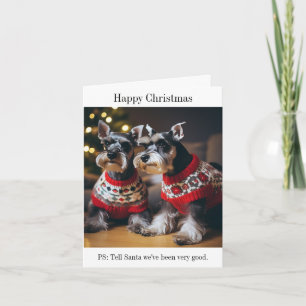 Schnauzers med julkort kort