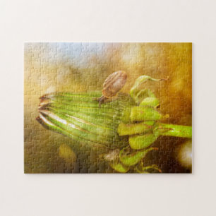 Schnecke auf Wanderung ... Pussel