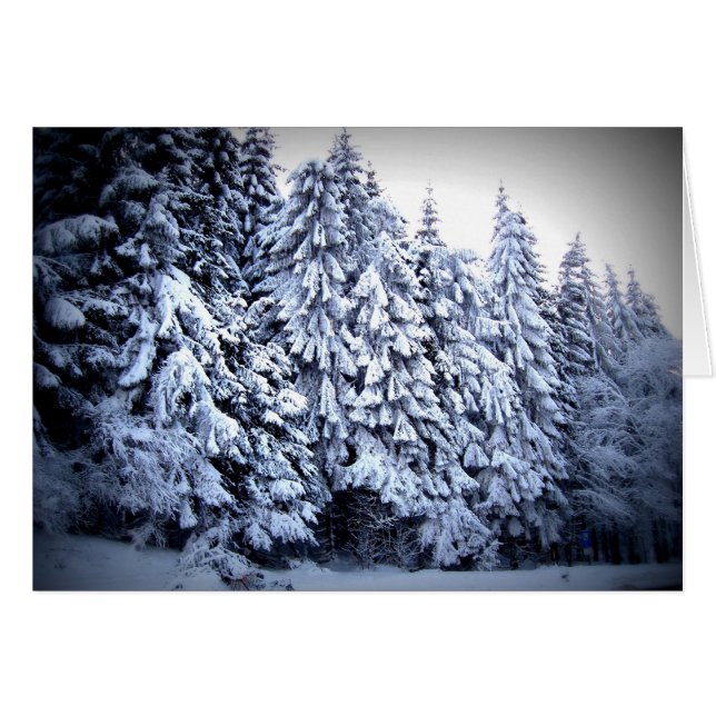 Schnee OBS Kort (Framsidan Horizontal)