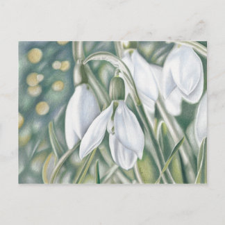 Schneeglöckchen - Farbstiftzeichnung Vykort