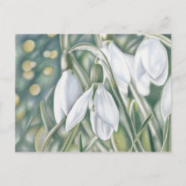 Schneeglöckchen - Farbstiftzeichnung Vykort